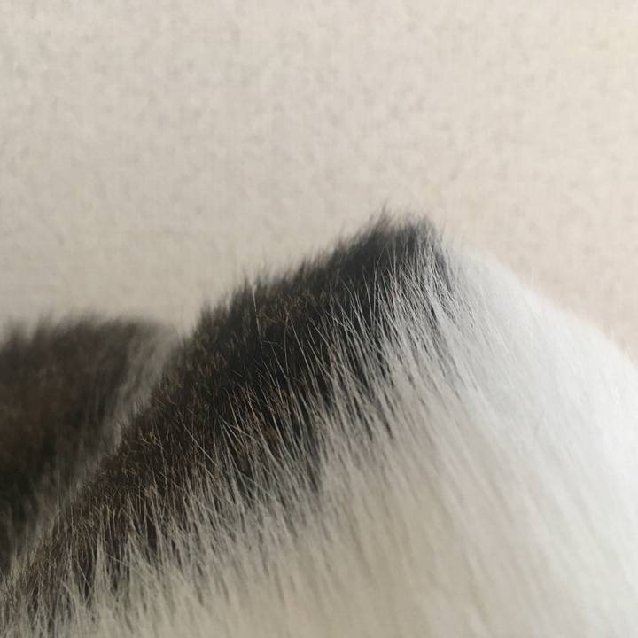 Cb659a1b 57ac 4033 950c e445432d9be7 1539052074913