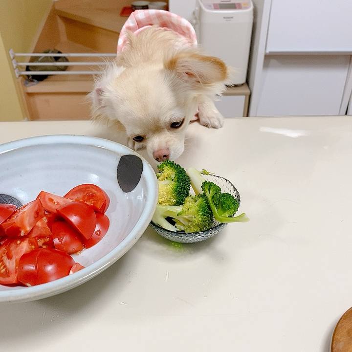 Cb65d1c1 acb7 499e a775 48cf99336dd5 1615260398278