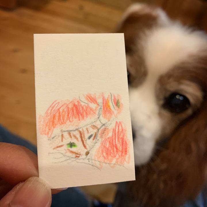 Cb65ea25 267e 4c3e a212 d57281e7dbbe 1606468671570