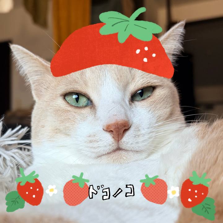 Cb65f14e cfa4 42f0 ae3d f306de39f597 1775279489394