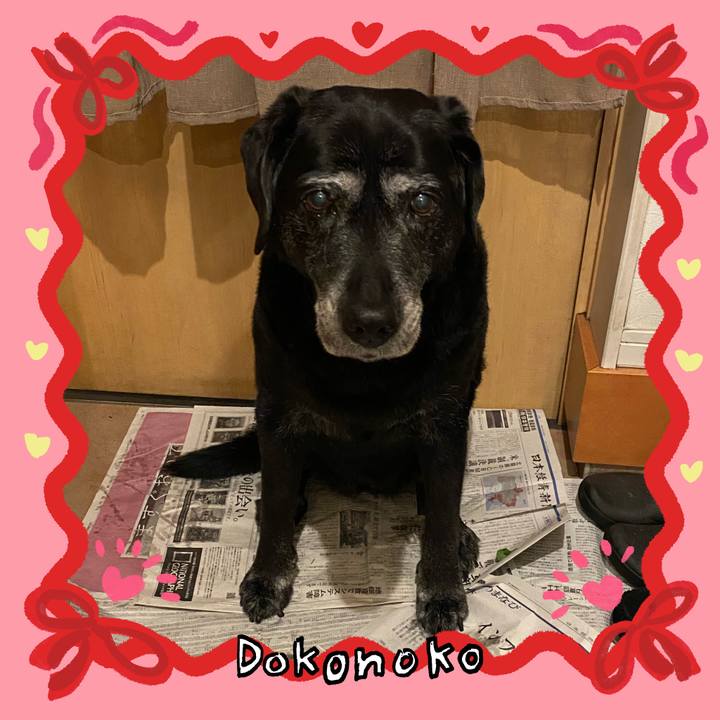 Cb660d6b b9c6 42a2 8c2d ea55cf820941 1707265922801