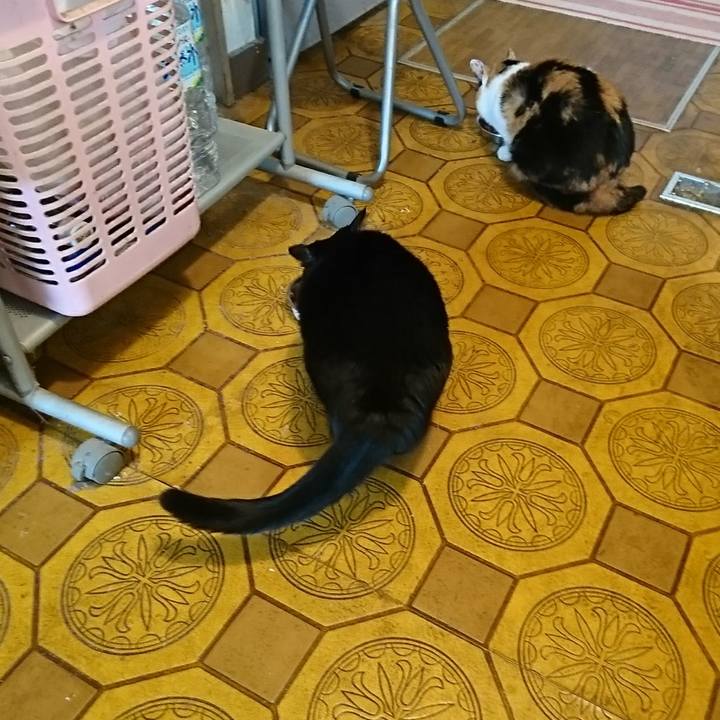 Cb661602 926b 4f62 93ef b1c04688a4c9 1512346865385