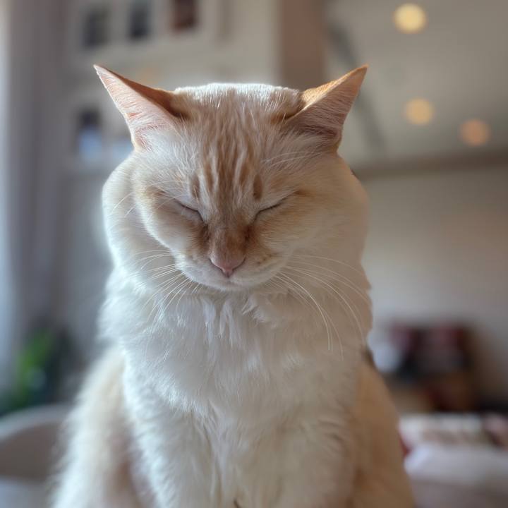 Cb664af6 492d 4a84 b678 d0c6e1f60019 1764549776768