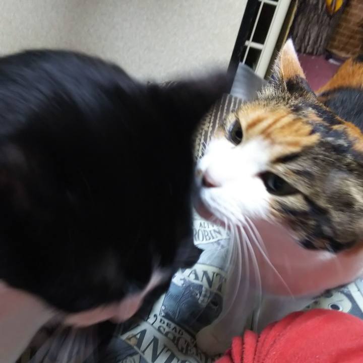 Cb665629 d3ea 41ce 99a8 a6fd23a88cd9 1583363631427