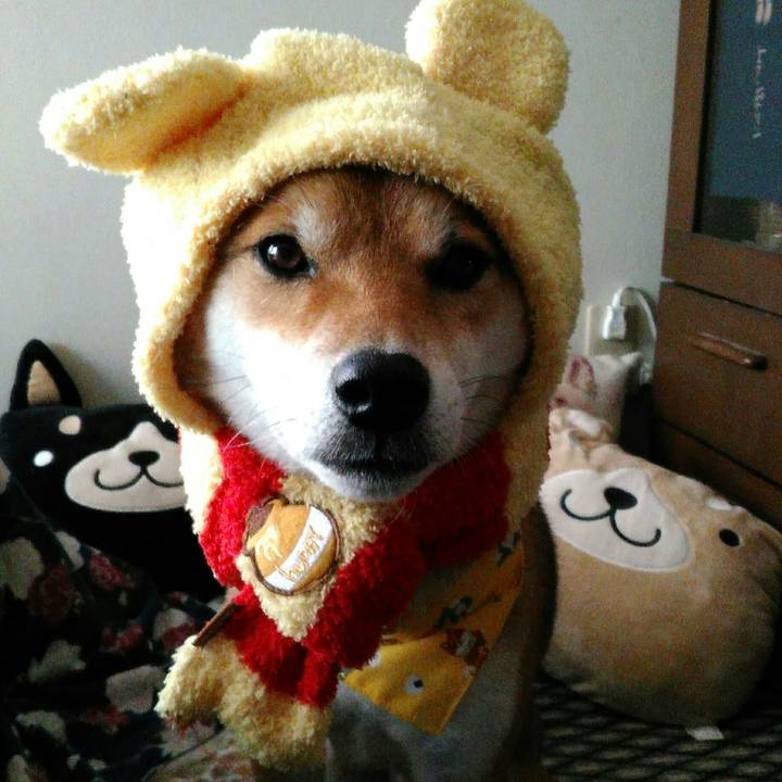 Cb667f2d 1806 4d84 8c73 7d1ff1e0aba1 1511936208632