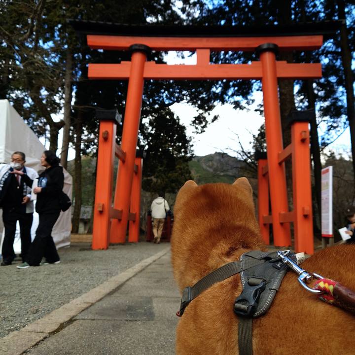 Cb669ed4 99e8 48ca b33c 38e37145a86a 1767260518654