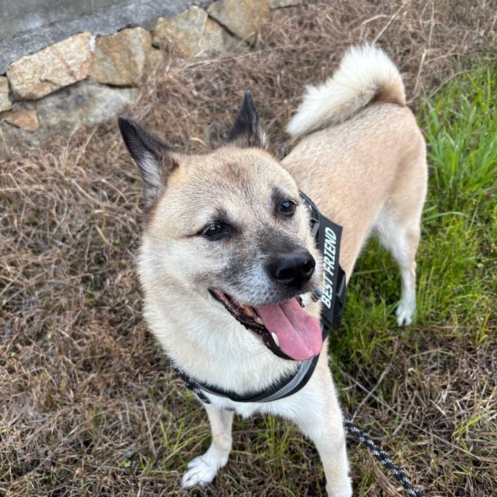 Cb66bb29 26d7 431b a02f 7255a1feca33 1757596000992