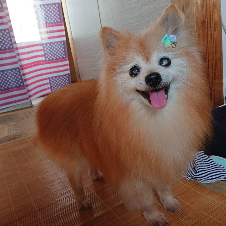 Cb66ca2a 8b6f 4a51 a042 af28861daebc 1660286502541