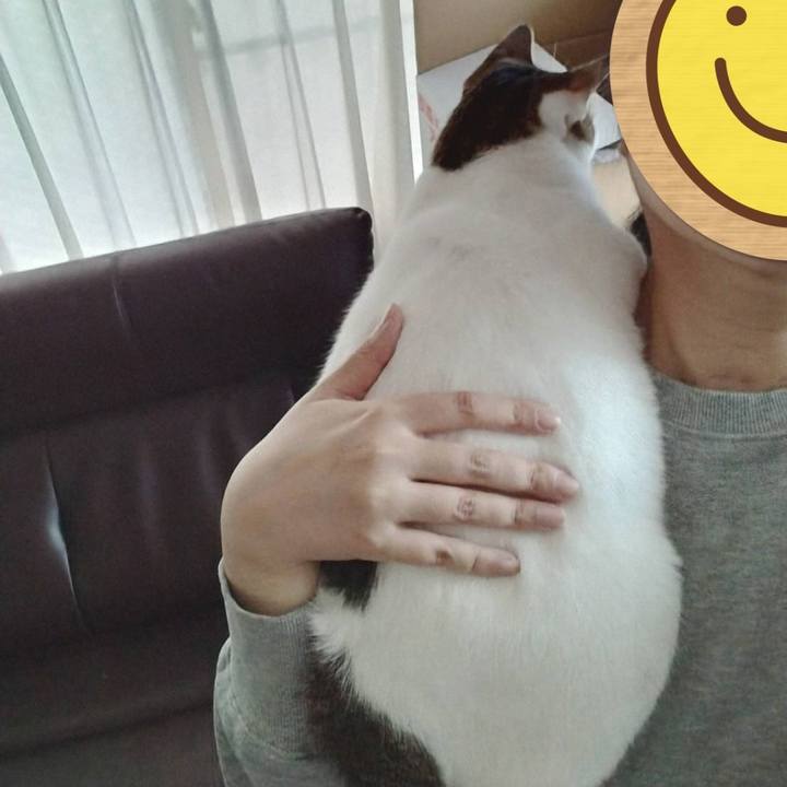 Cb66cb5a c089 4142 9018 a20c1906644f 1761210676032