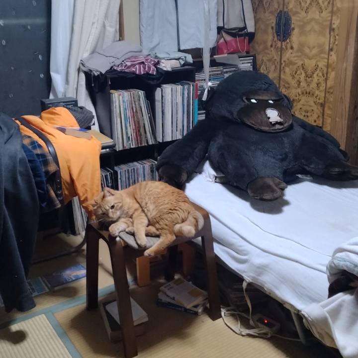 Cb66d7cf c4d1 4dd0 848c 8a2416e3a607 1713354852603