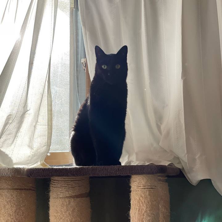 Cb66e79d 9e25 404a 874f eac7684f9726 1642472477832