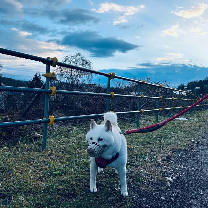 Cb671f0e 895b 4c45 a8d2 651bf512495a 1764455065518