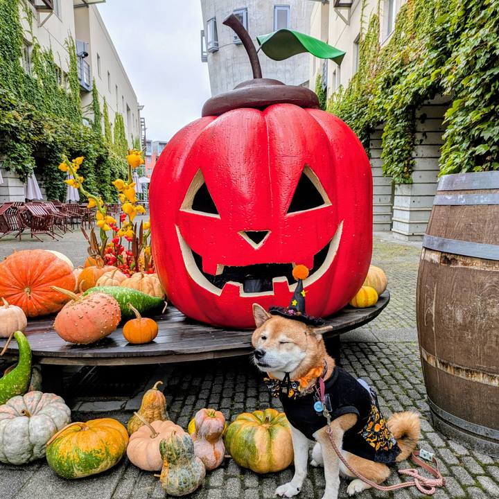 Cb674276 aa66 4979 9433 9b9478f37321 1759720245867