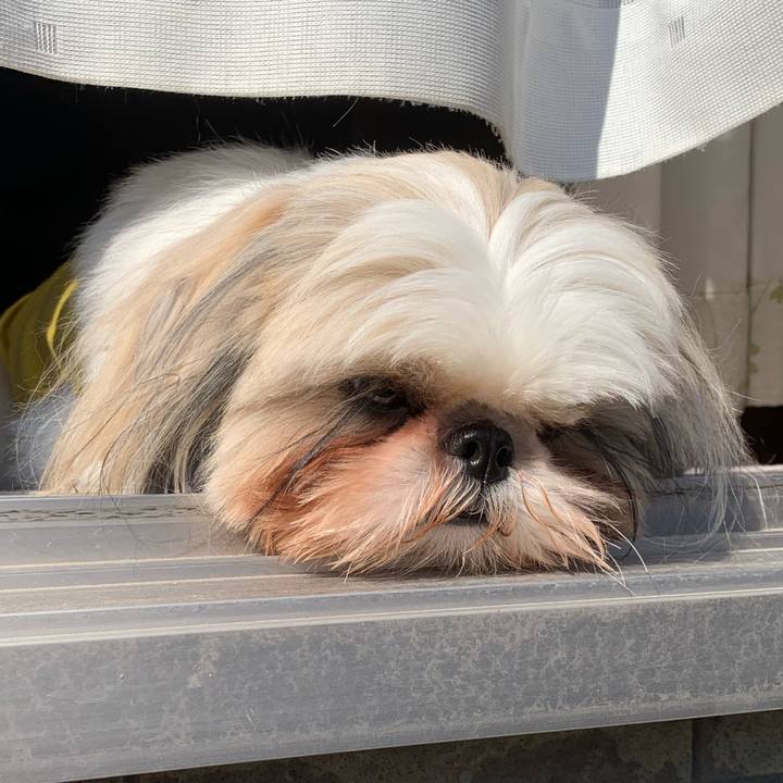 Cb674c67 a2ad 4f26 b747 76f655d405a6 1573359365515