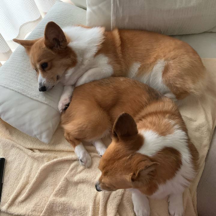 Cb6776cc 8b90 468c bcdd e6a9d4c4ee22 1591433039288