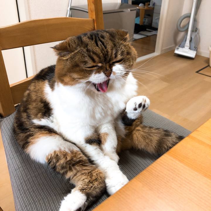 Cb678b30 bddc 4576 a738 bff10807b650 1551682201081