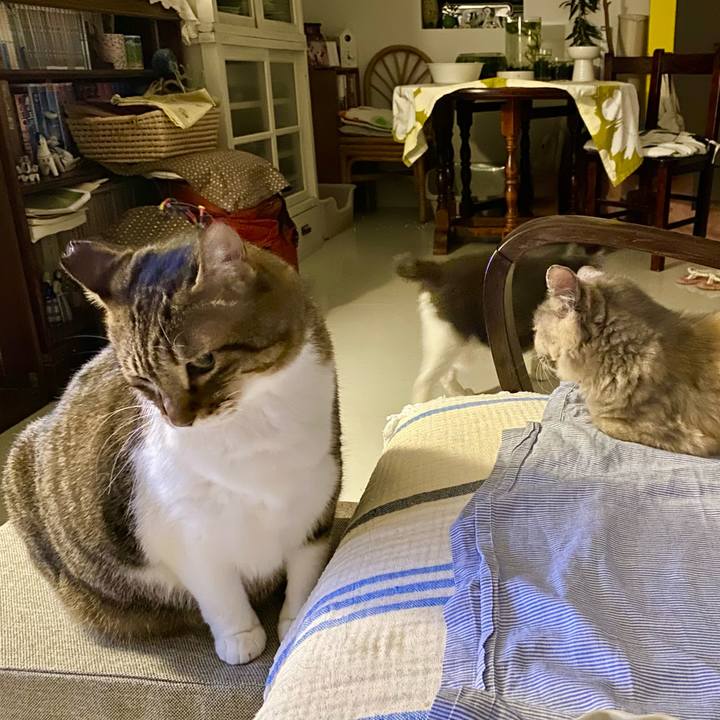 Cb67b9b8 a51b 4a28 8d21 9f974b527291 1756995578899