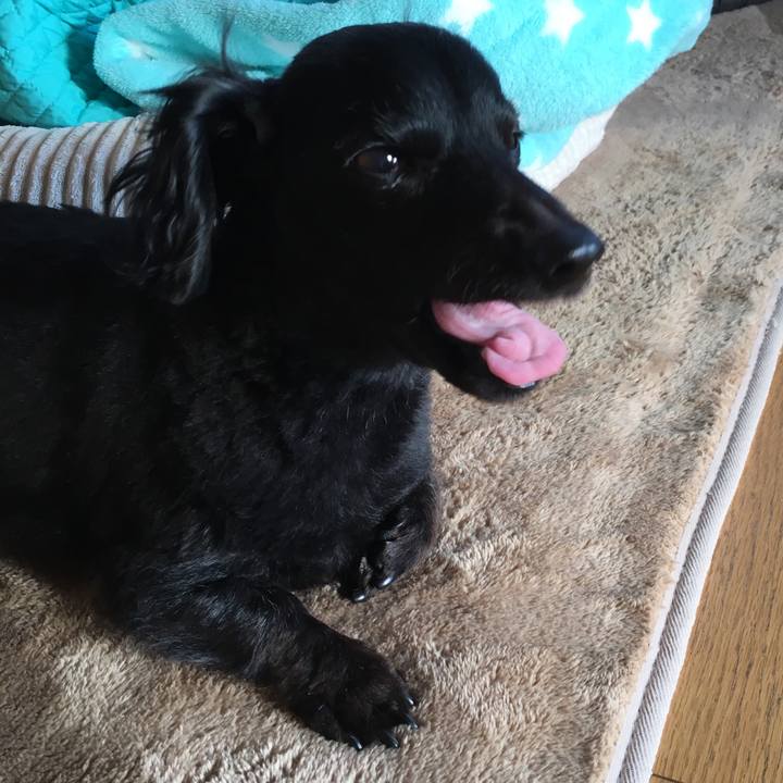 Cb67e5f5 a944 47fa 83c2 3e2256322606 1516060064784