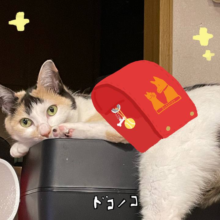 Cb68314c 77ea 4a60 906a 7c3854ed495a 1744295043843