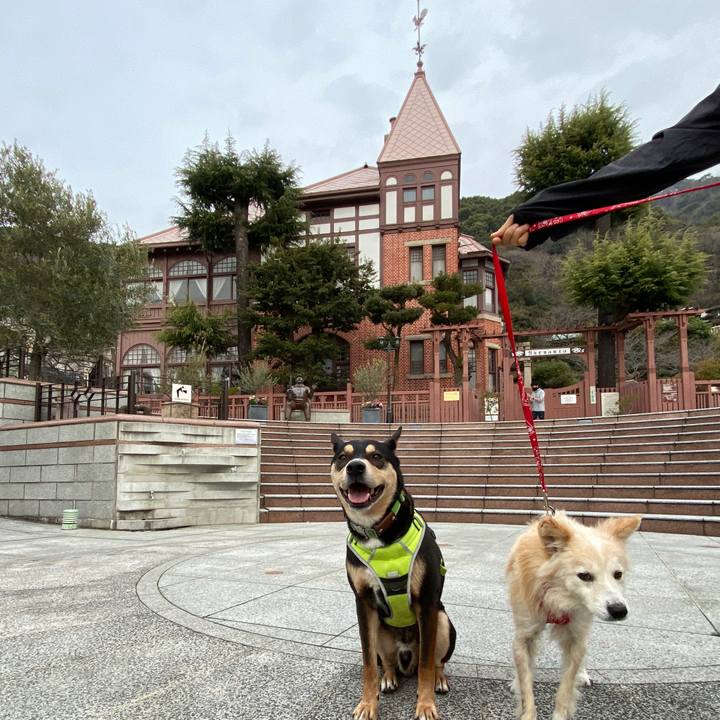 Cb688a6c cb38 4dfd a916 fe2e3a707f66 1647176460201