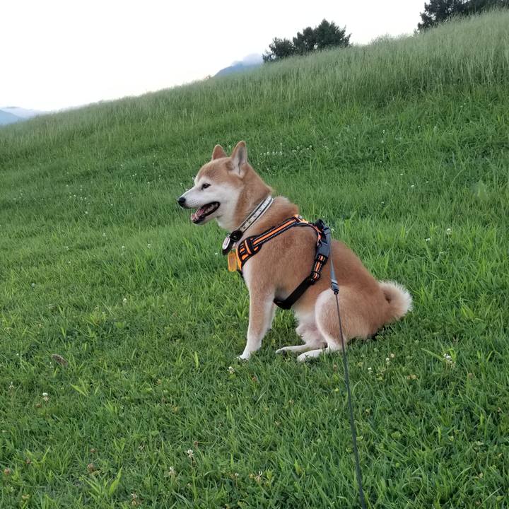 Cb68cc2f 6664 4414 82da 81351766f5ba 1597136992025