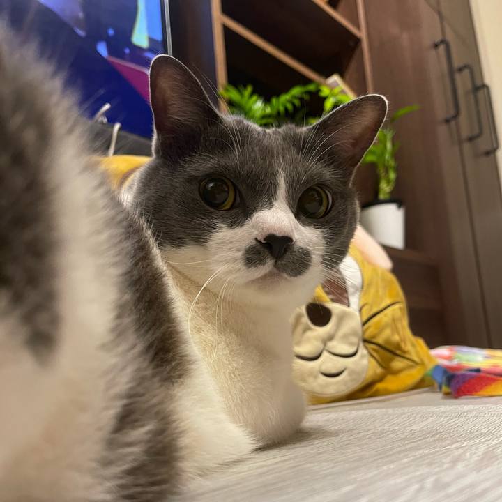 Cb68d3f3 d9ce 4258 a1ee 76c6572cbdde 1751387063159