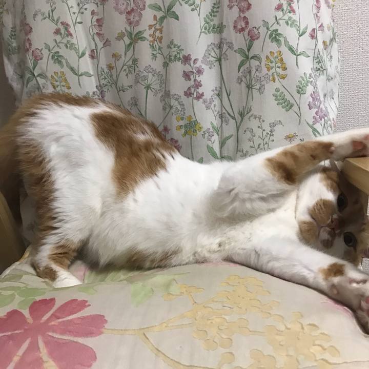 Cb68e509 75da 446f a40b ee14b0aa6627 1586438203574