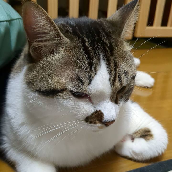 Cb68ea3b d014 4e8a a16f 0d1fb76b9853 1666096653291