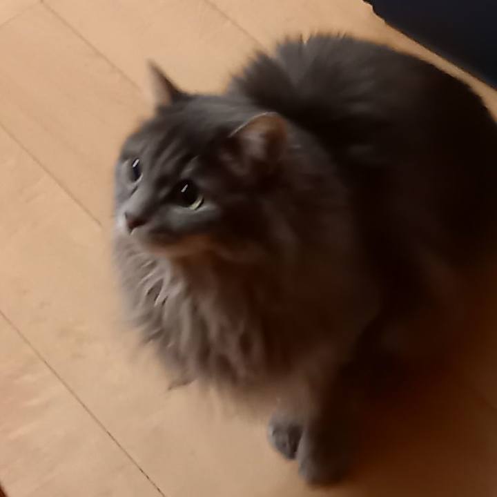 Cb6900df d61b 4649 a94b 899d879c57f9 1616407711162