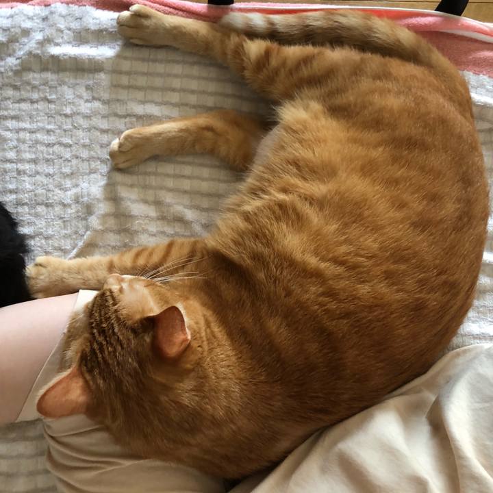 Cb6908fc a2a0 4c58 b0a2 f1f188da114d 1628401469791