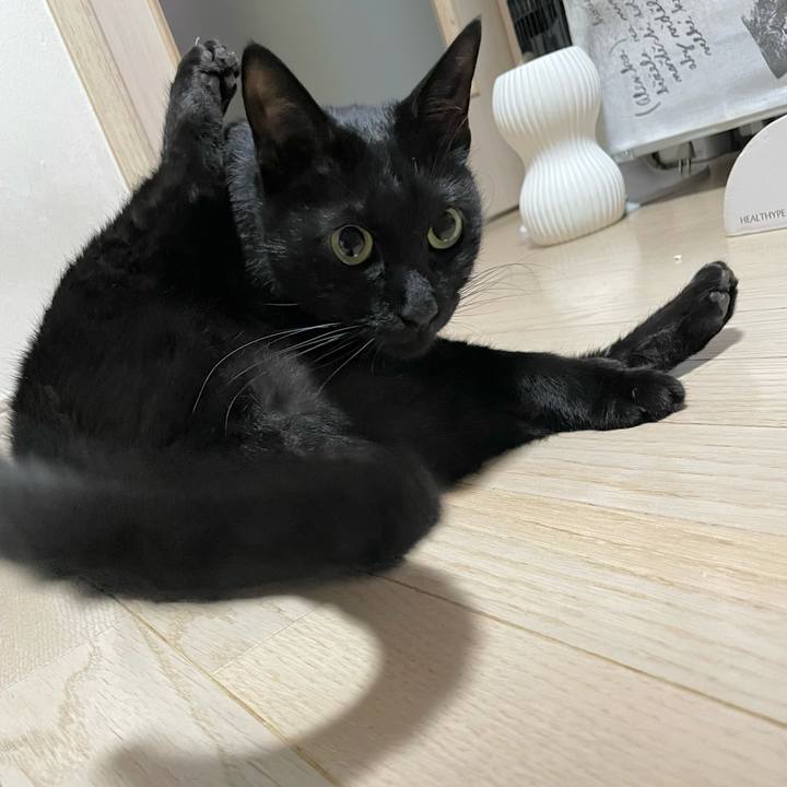 Cb690b6f 08de 4786 aa7e 07d6ee3e2b58 1666273580515