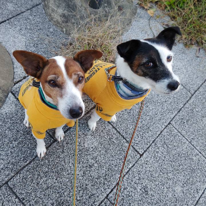 Cb69465c 9b7d 44ac 8c3d 3e6eff2aa818 1731117816320