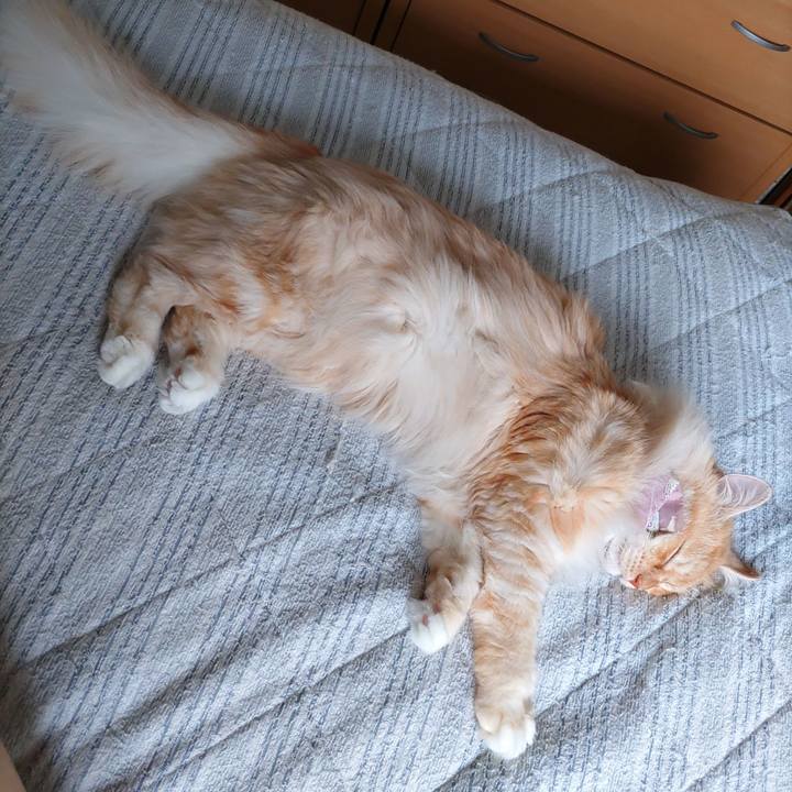 Cb697c5a 338f 41c9 a24f bae4203776a1 1720398435769