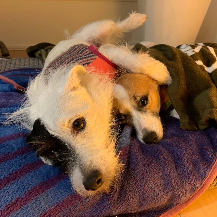 Cb69a40f 0cc9 4c60 9440 8e169df69ead 1547294265994