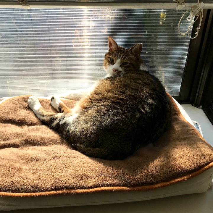 Cb69e7a6 95f3 4c99 bc0d c7e9fccb9173 1578633834962