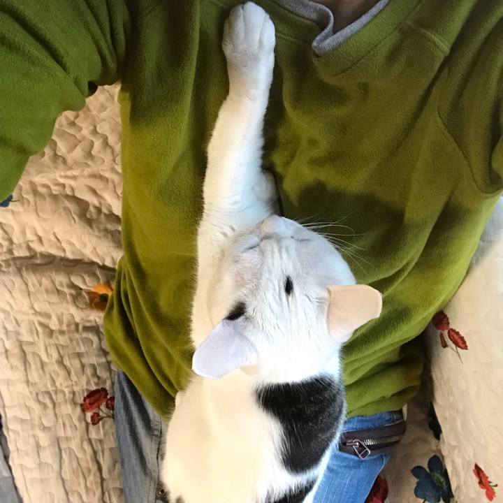 Cb6a2bde 2a79 410b bb1a d789dea896ea 1557565196469