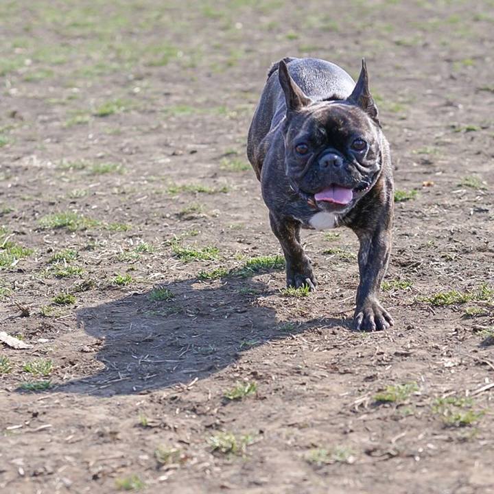 Cb6a5ebf fc64 4811 93fb bc8848f7c153 1518511338554