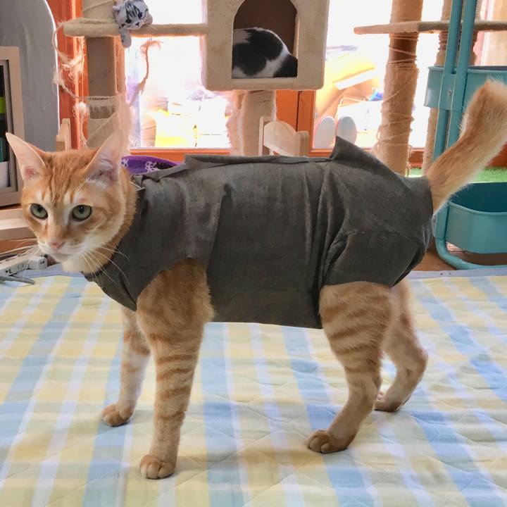 Cb6a7c82 66f9 4a96 8232 d88f44c4c1c1 1530424569471