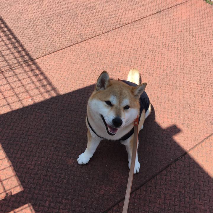 Cb6a977f 8bdc 46fb 8441 8d5026ca9742 1555733530450