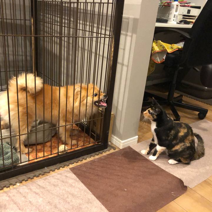 Cb6ab479 4a3a 40ac 82ab ec0b51bab773 1658314054060