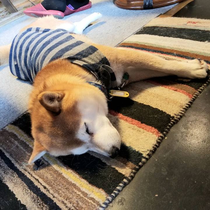 Cb6ac53e a15d 4804 aa73 b448b8179527 1580860104613