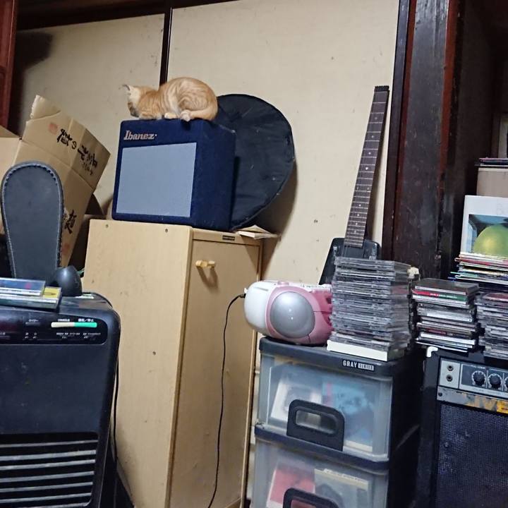 Cb6af9ea ddbc 4e9f 82ca 6d44dd2d3963 1632054174364