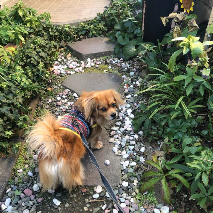 Cb6b0bfb 0011 4ecd aa69 293e15d709ff 1546303685892