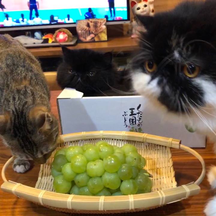 Cb6b5469 45e1 4d56 8695 6f0bd5d7e942 1570202194427