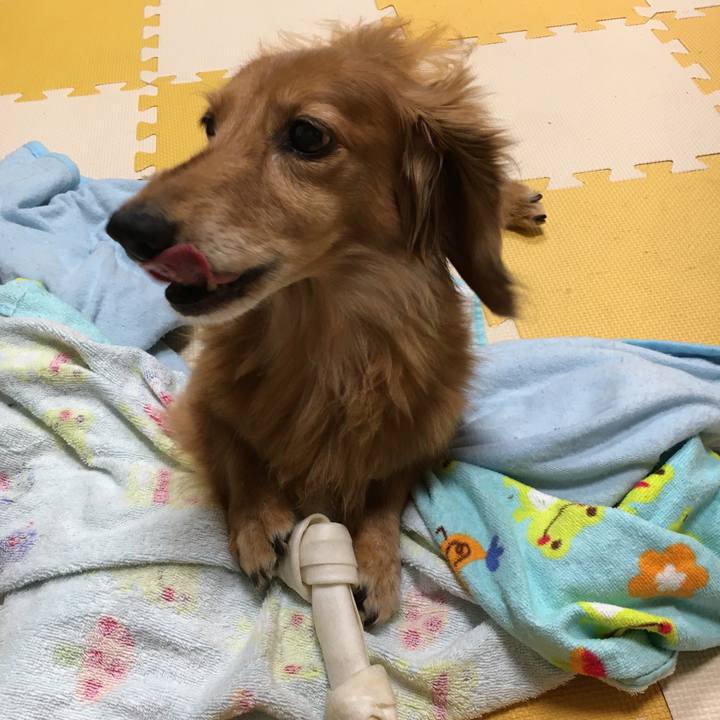 Cb6b967d 8c5f 4b05 bd08 6f7a3ffdca80 1600950259609