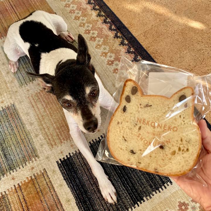 Cb6ba60d 97dc 4608 afc5 ec6c29b6fc4d 1579308632314