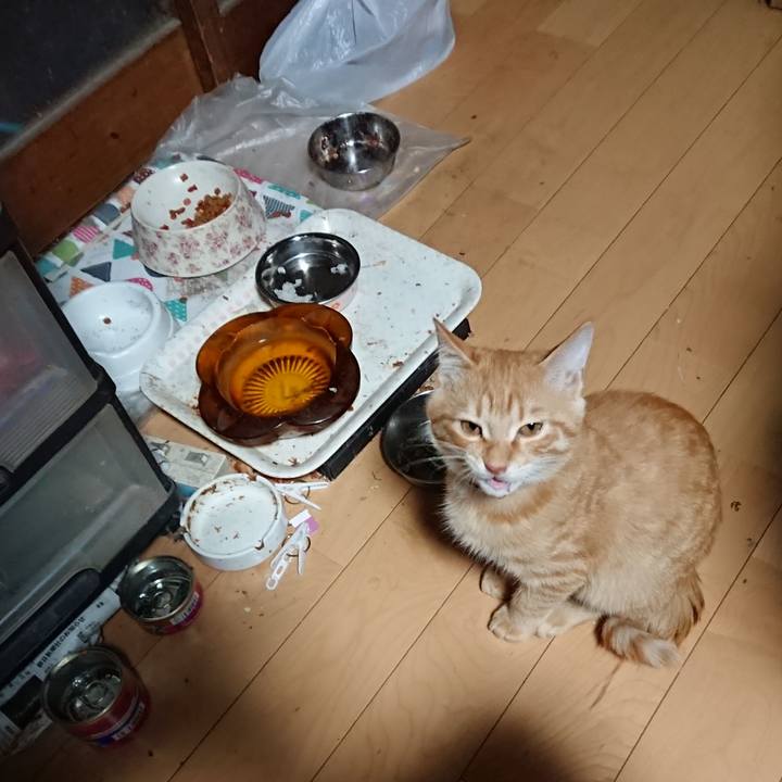 Cb6bcd61 30b9 4371 ae9b c8f1e331b7c7 1634762108536