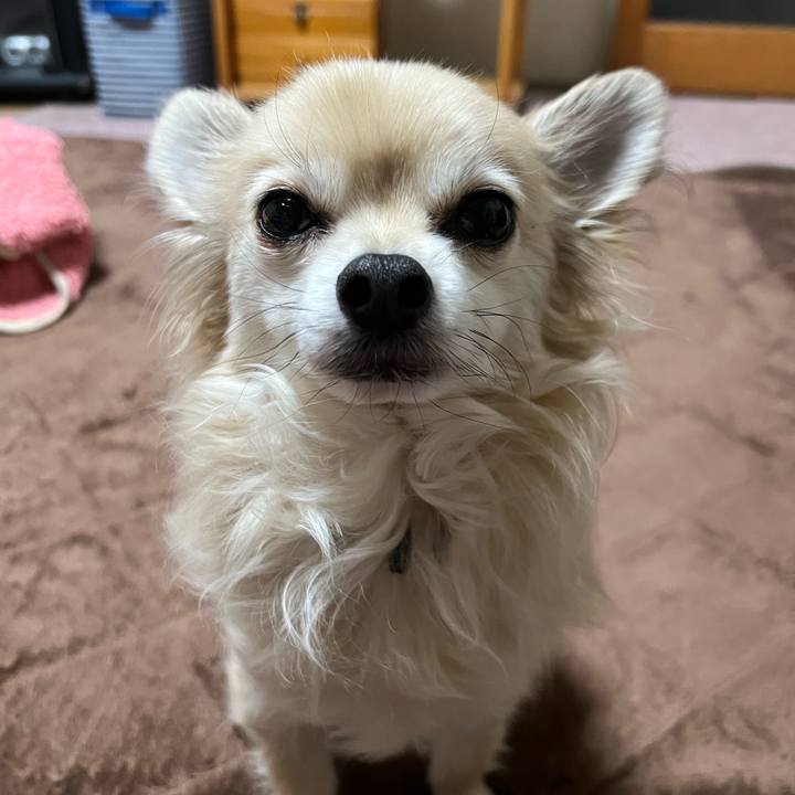 Cb6bdd6d 441a 4da8 acbd fd2bfd176d36 1770453565415