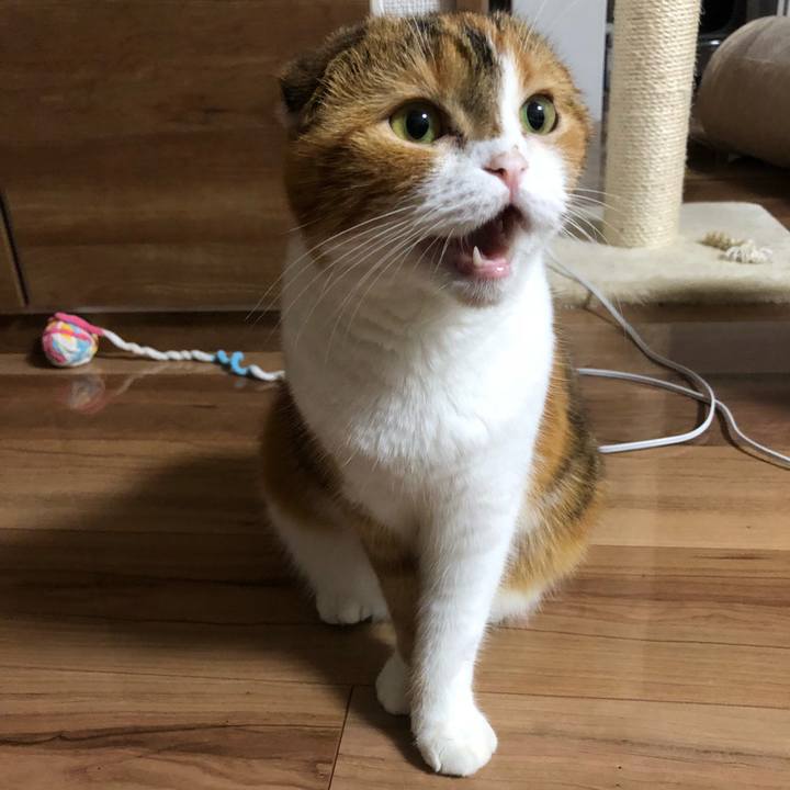 Cb6be937 08dd 4689 a99f 5074abe5b41e 1535107782630