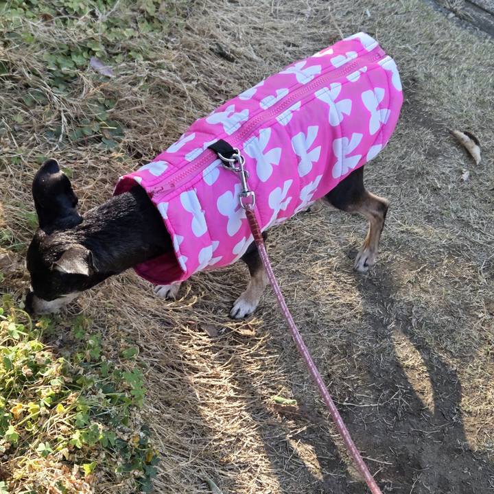 Cb6bfc71 98fa 4dd5 892b aeda76d8b1a9 1772925847947